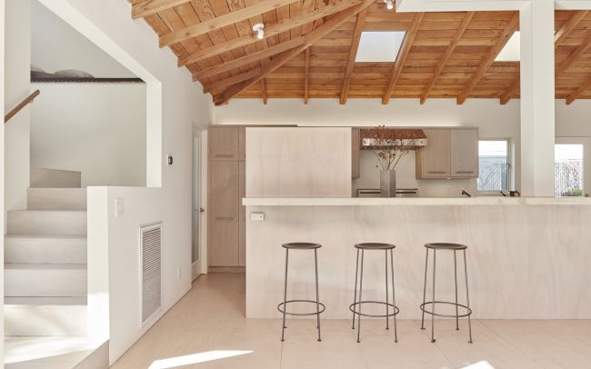 LA Designer Kitchen Photos 10